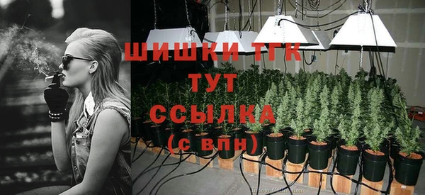 крисы Алексеевка