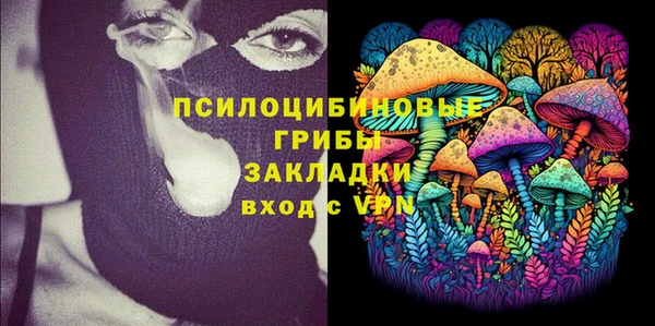 крисы Алексеевка