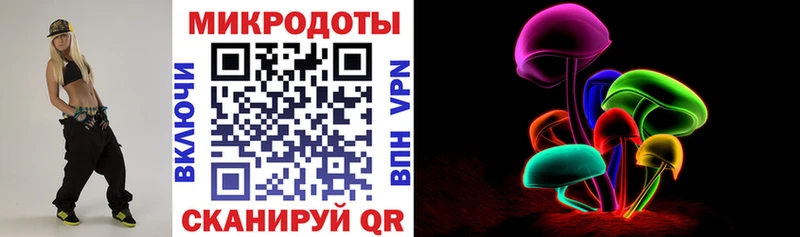 Псилоцибиновые грибы Psilocybe  Тверь 